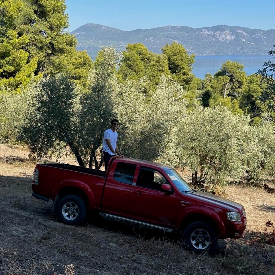 A red pickup truck parked among olive trees overlooking the sea and mountains in Greece, with a person standing in the back — showcasing the natural beauty of Degleri’s family olive groves in Fthiotida.